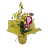 Orquidea Chuva de Ouro