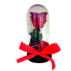 Rosa vermelha encantada