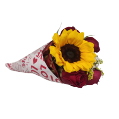 Cone de Girassol e Raffaello - comprar online