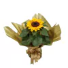 Girassol plantado