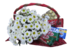 Margarida com Chocolates