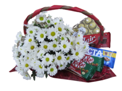 Margarida com Chocolates