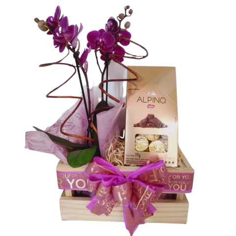 Mini Orquídea com Alpino