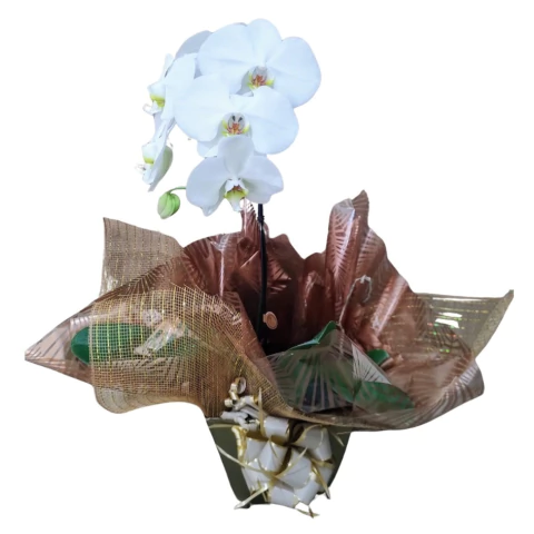 Orquídea Branca Cascata