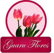 Guaru Flores Loja On Line