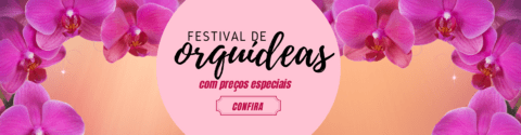 Carrossel 1