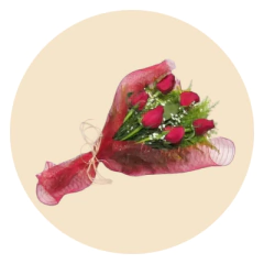 Categoria 1