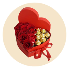 Categoria 5