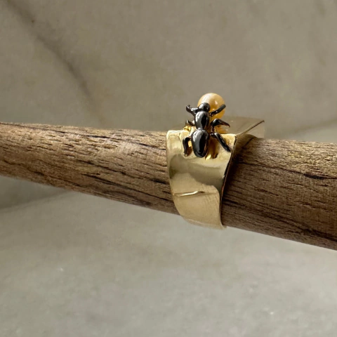 Anel Formiga no Torrão de Açùcar.