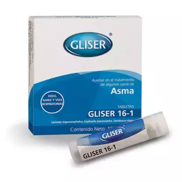 Gliser 16-1 Asma