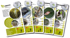 Animales Asombrosos Cartas Enciclopédicas Luminias - El Arca del Juguete