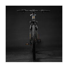 Bicicleta Zion Pampa Mtb R29 21 Vel Frenos A Discos en internet