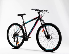 Bicicleta Sunny R29 MTB en internet