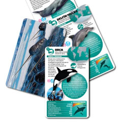 Mamíferos Marinos Cartas Enciclopédicas Luminias - comprar online