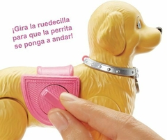 Barbie Pase De Mascota en internet