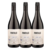 VINHO ARGENTINO PORTILLO V UCO PINOT NOIR 750ML TINTO KIT COM 3 - comprar online