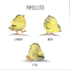 PIPOLLITO - comprar online