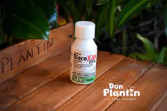 Glacoxan Total - comprar online