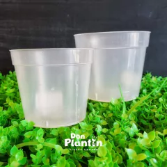 Maceta Cristal en internet