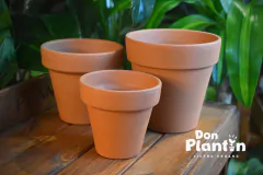 Maceta de cerámica común - Don Plantín