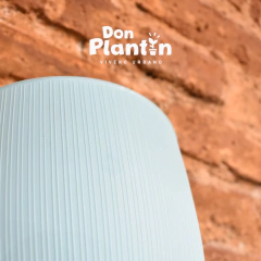 Maceta París - Don Plantín