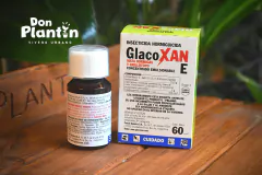 Glacoxan E - Don Plantín