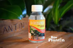 Calcio EDTA en internet