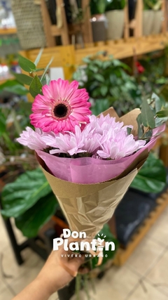 Ramo de Gerberas - tienda online