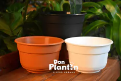 Maceta Bols con plato incluido - comprar online