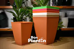 Maceta piramidal - Matri - Don Plantín