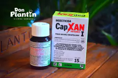 Capxan (Glacoxan I) - comprar online