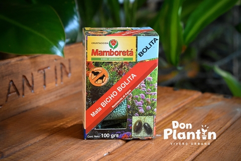 Mamboreta Bolita