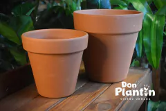 Maceta de cerámica común en internet