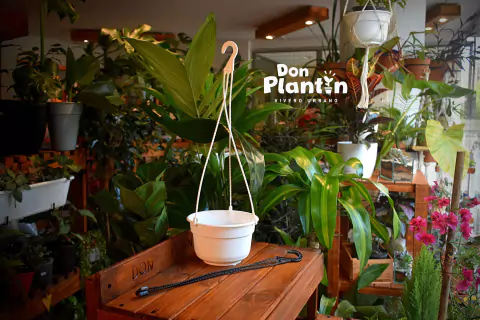 Gancho plástico para macetas