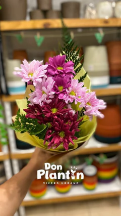 Imagen de Ramo de Montoneras