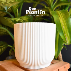Maceta Milán - Don Plantín