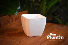 Maceta Premium cuadrada - Don Plantín