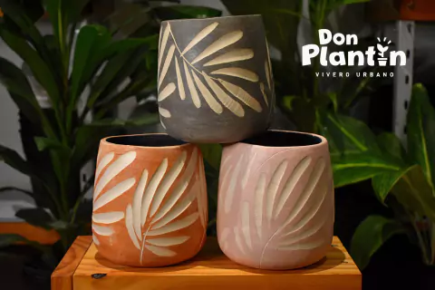 Balotín - Cuerpoespín