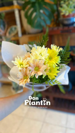 Ramo de Montoneras - Don Plantín