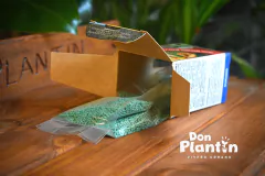 Mamboreta Bolita - comprar online