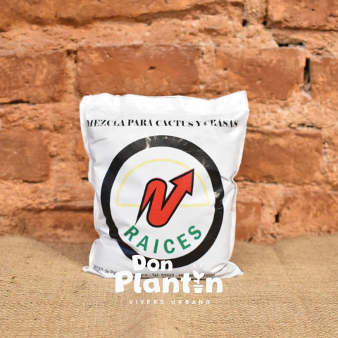 Sustrato para cactus Raices