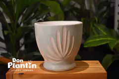 Copa - Cuerpoespín - comprar online