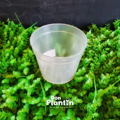 Maceta Cristal - comprar online