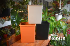 Maceta cubo 15x15x20cm - Don Plantín