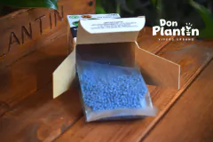 Mamboreta B+R - Don Plantín