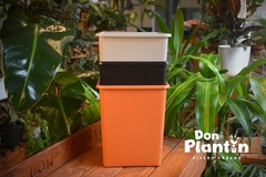 Maceta cubo 15x15x20cm - comprar online