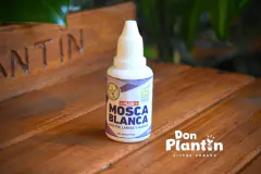 Mosca blanca - Ecomambo en internet