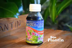 Quelafol antiestres - Don Plantín