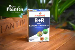 Mamboreta B+R en internet