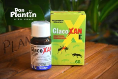 Glacoxan E